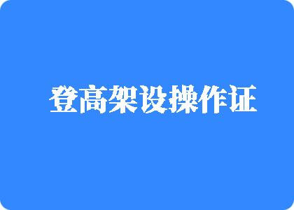 免费扣逼无毛网站登高架设操作证