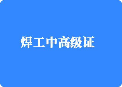 男人鸡巴插入女人鸡巴视频网站焊工中高级证